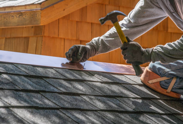 Best Solar Panel Roofing Installation  in Muncy, PA