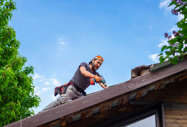 Best Roofing for New Construction  in Muncy, PA
