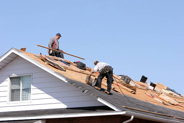 Best Roof Maintenance and Cleaning  in Muncy, PA